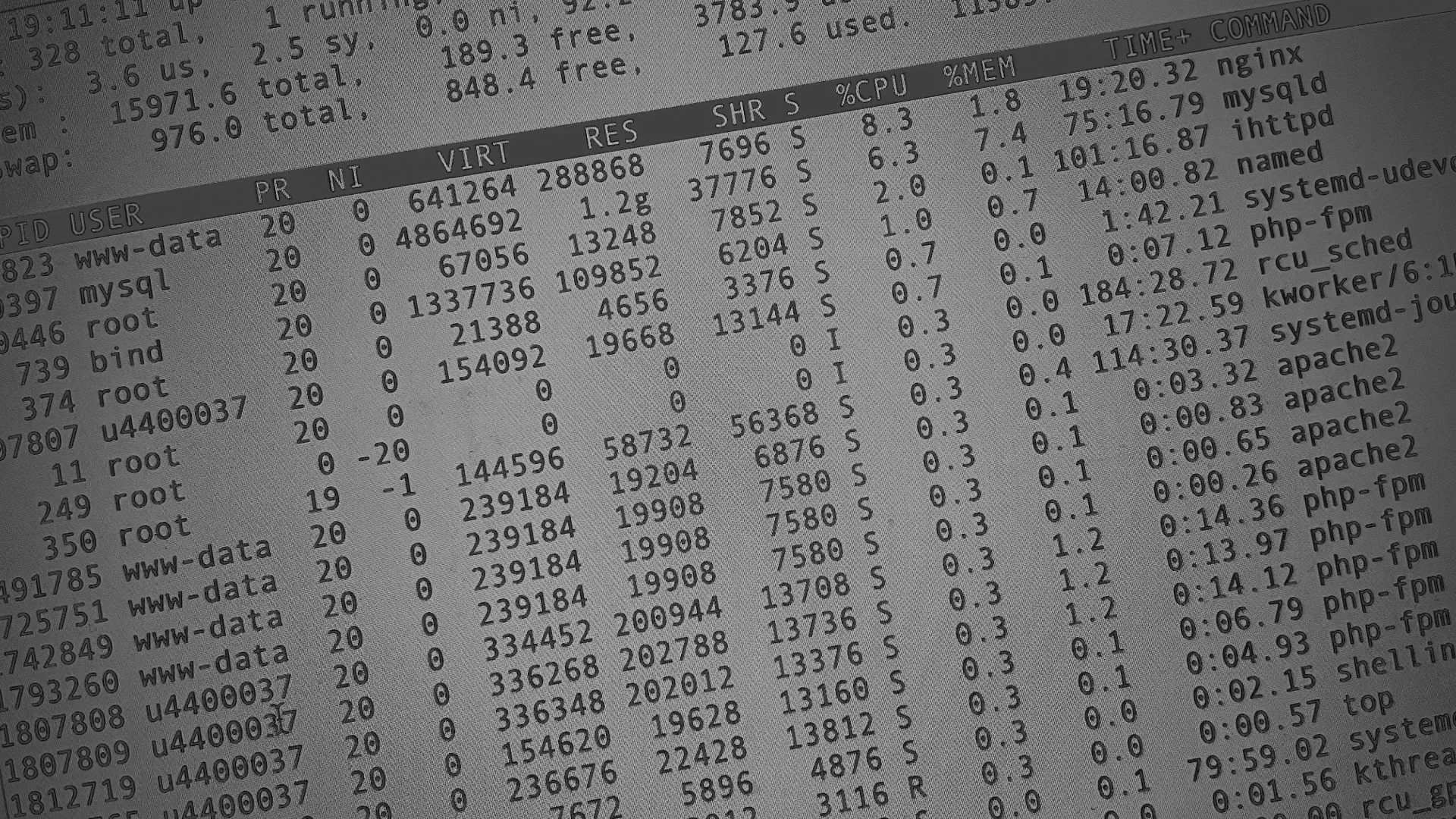 Настройка сервера в Тотьме