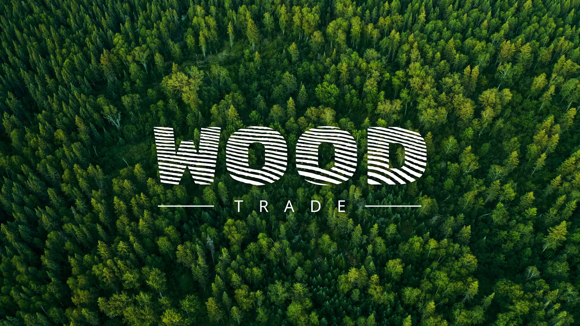 Разработка интернет-магазина компании «Wood Trade» в Тотьме